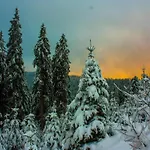شقة Sonnenblick For 3 أراتش